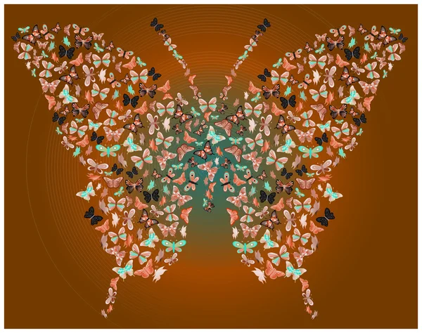 Borboleta de borboletas marrom — Fotografia de Stock