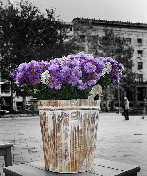 Kbelík květů — Stock fotografie