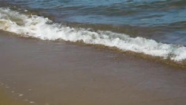 Spokojne Morze Małymi Falami Piaszczysta Plaża Brak Osób Zbliżenie Słoneczny — Wideo stockowe