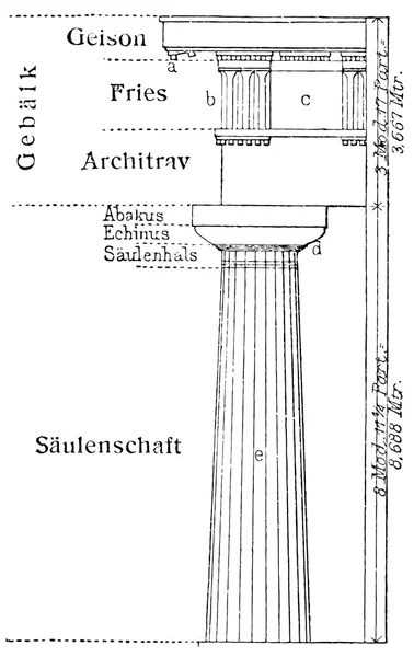 Doric order temple of Paestum. — Stock Vector