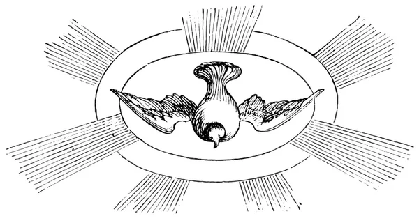 Старые гравюры. Показывает божественный свет в виде голубя — стоковый вектор