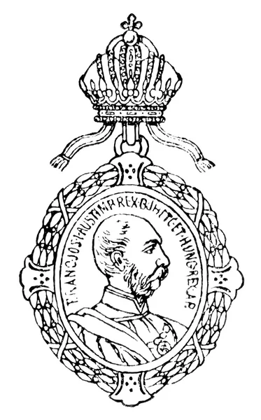 The Medal of Honor for Arts and Science (Império Austro-Húngaro, 1887). Publicação do livro "Meyers Konversations-Lexik on", Volume 7, Leipzig, Alemanha, 1910 — Vetor de Stock