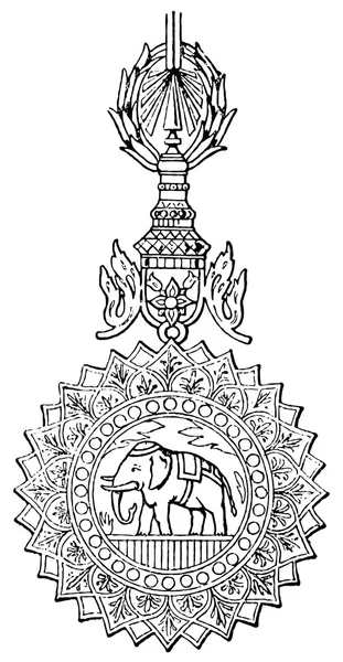The Most Exalted Order of the White Elephant (Siam, 1861). Publication du livre "Meyers Konversations-Lexik on", Volume 7, Leipzig, Allemagne, 1910 — Image vectorielle