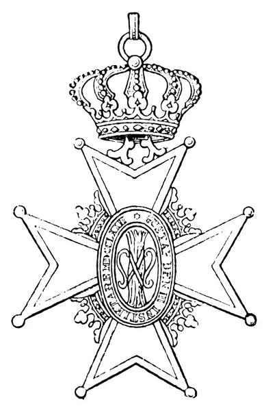 The Royal Order of Vasa (Sweden, 1772). Publication of the book "Meyers Konversations-Lexik on", Volume 7, Leipzig, Germany, 1910 — Stock Vector