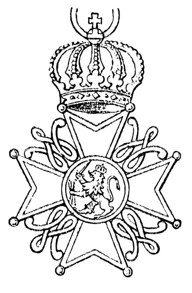Ordre du lion des Pays-Bas (Pays-Bas, 1818). Publication du livre "Meyers Konversations-Lexik on", Volume 7, Leipzig, Allemagne, 1910 — Image vectorielle