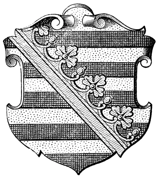 Escudo de armas de Sajonia (Provincia del Reino de Prusia). Publicación del libro "Meyers Konversations-Lexikon", Volumen 7, Leipzig, Alemania, 1910 — Archivo Imágenes Vectoriales