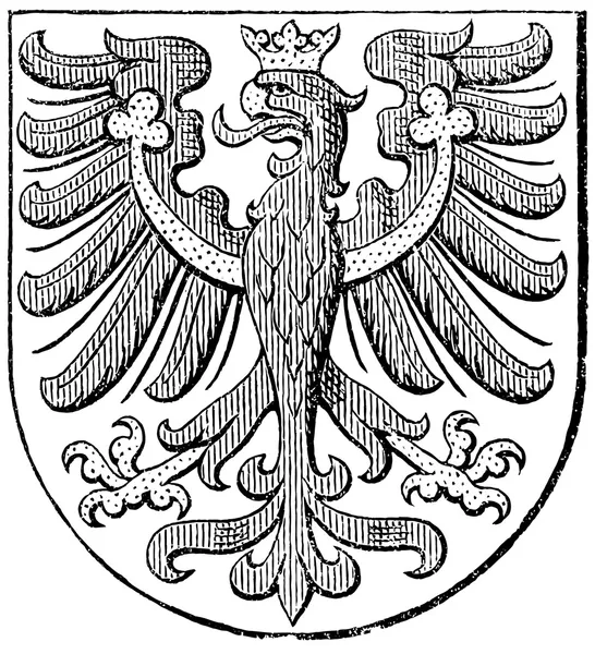 Escudo del Condado de Tirol, (Monarquía Austro-Húngara). Publicación del libro "Meyers Konversations-Lexikon", Volumen 7, Leipzig, Alemania, 1910 — Archivo Imágenes Vectoriales