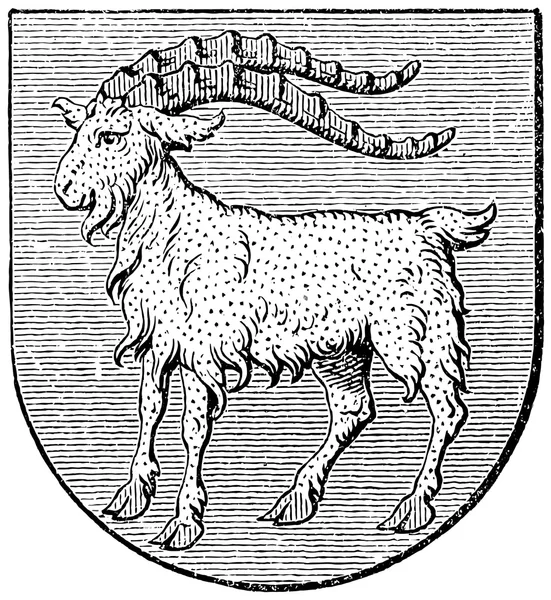 Coat of arms of Istria, (Austro-Hungarian Monarchy). Publication of the book "Meyers Konversations-Lexikon", Volume 7, Leipzig, Germany, 1910 — Stock Vector