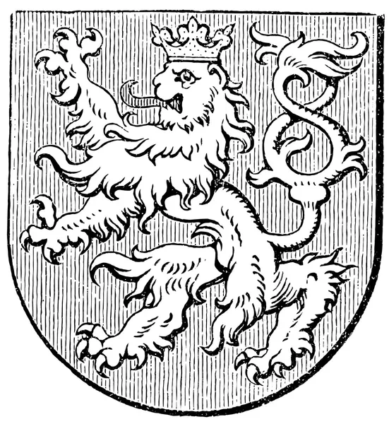 Coat of arms of the Kingdom of Bohemia, (Austro-Hungarian Monarchy). Publication of the book "Meyers Konversations-Lexikon", Volume 7, Leipzig, Germany, 1910 — Stock Vector