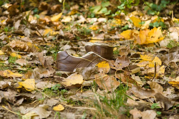 Abandoned shoes in fallen leaves. — Stock Photo, Image