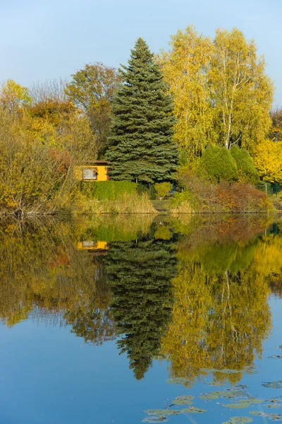 秋天风景在水附近 — 图库照片