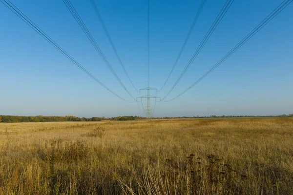 Hochspannungsleitung im Feld — Stockfoto