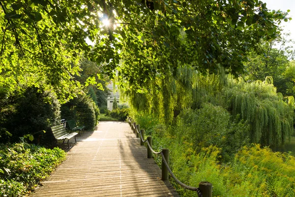 Walking path in the summer park. — Stock Photo, Image