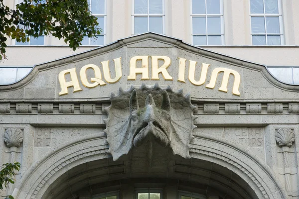 Aquarium in de dierentuin van Berlijn in zoologischer garten — Stockfoto