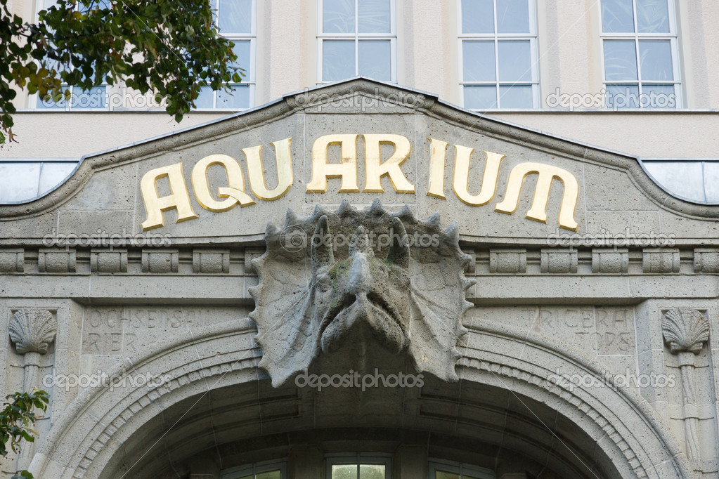 Aquarium In Berlin Zoo In Zoologischer Garten Stock Editorial