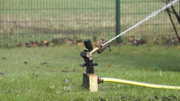 The sprinkler water in the garden. — Stock Video