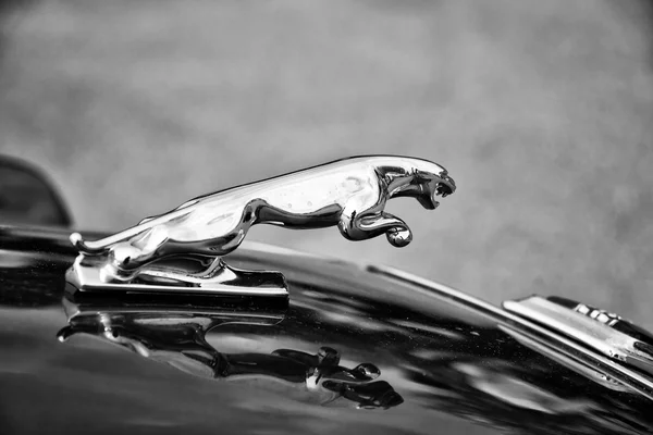 BERLIM - MAIO 11: Carro emblema da marca Jaguar XJ12 (preto e branco — Fotografia de Stock