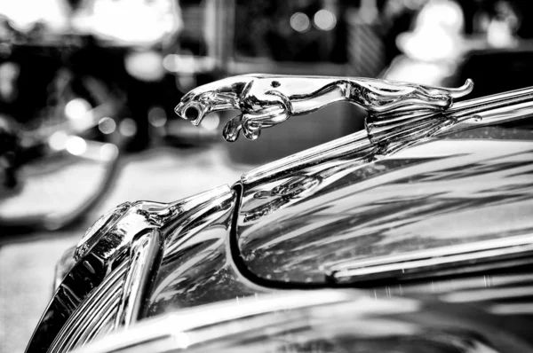 El símbolo del coche Jaguar (Blanco y Negro ) — Foto de Stock