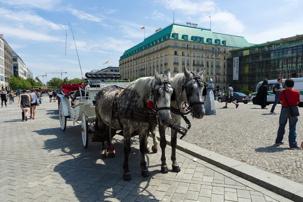 Die Kutsche für Touristen, die am Pariserplatz durch die Stadt laufen — Stockfoto