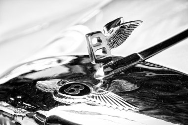 The emblem on the hood of full-size luxury car Bentley S1 Coupe clipart