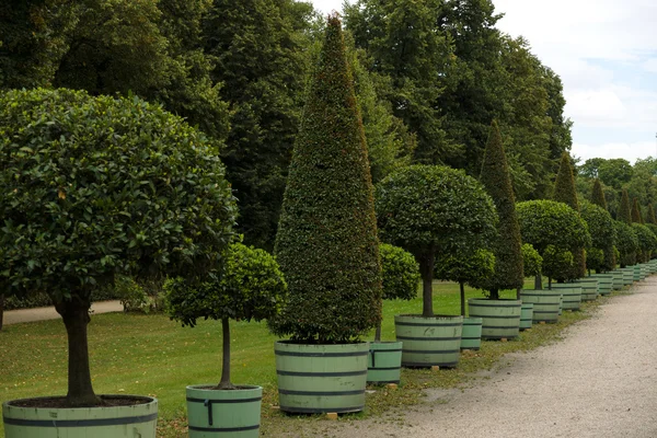 Garden Palace Charlottenburg. Berlin. — Stock Photo, Image