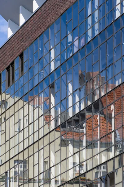 Reflexão. — Fotografia de Stock