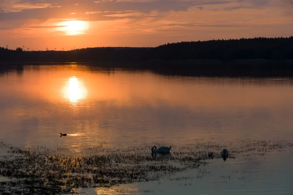 Heller Sonnenuntergang am See. — Stockfoto