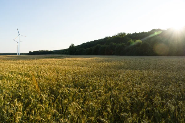 Landskap på landet. Solnedgang. Vindturbiner i bakgrunnen . – stockfoto