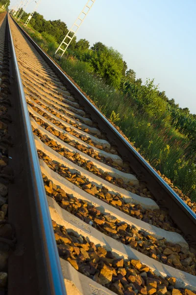 Chemin de fer. Paysage . — Photo