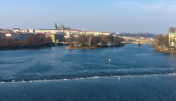 Prága, a Moldva-folyó partján. — Stock Fotó