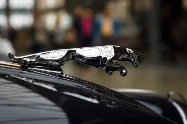 Carro esportivo Jaguar Hood ornamento — Fotografia de Stock