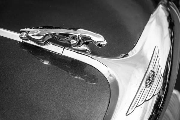 BERLIN, GERMANY - MAY 17, 2014: Hood ornament car of a Jaguar (Jaguar in the jump). Black and white. 27th Oldtimer Day Berlin - Brandenburg — Stock Photo, Image