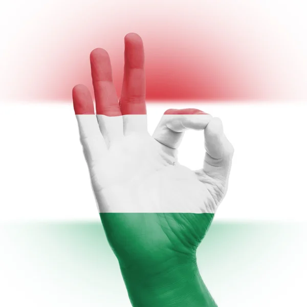 手 ok 标志与匈牙利国旗 — 图库照片