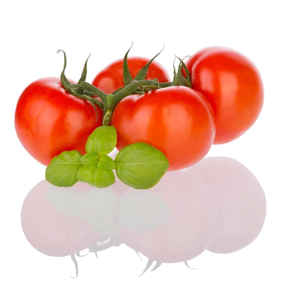 Tomates em uma videira com manjericão fresco — Fotografia de Stock