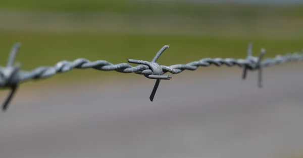 Close-up of barbed wire — Stock Photo, Image