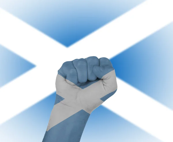 Poing enveloppé dans le drapeau de l'Écosse — Photo