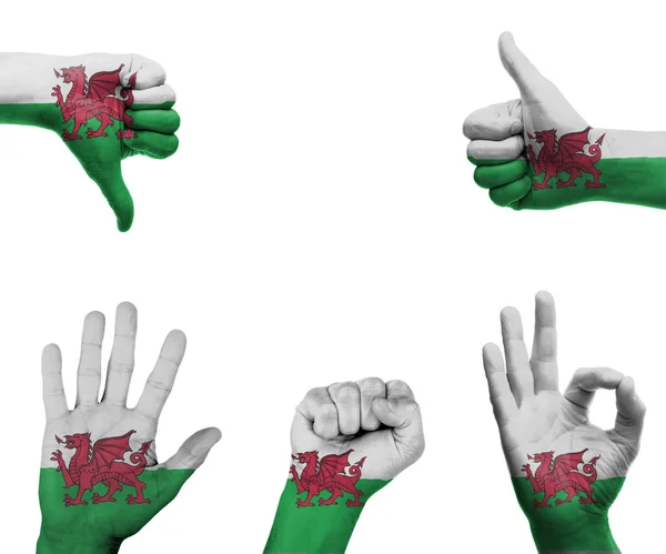 Hand set with the flag of Wales — Stock Photo, Image
