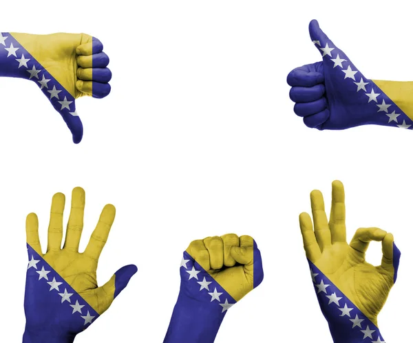 Hand set with the flag of bosnia and Herzegovina — Stock Photo, Image