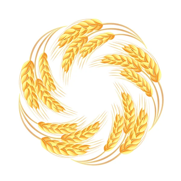 Wheat ears icon — Stock Vector