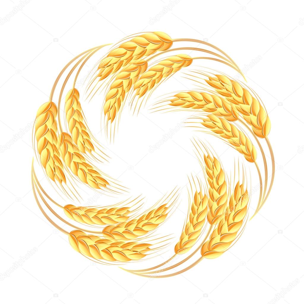 Wheat ears icon