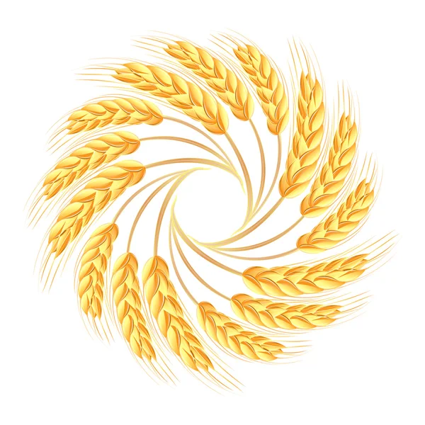 Wheat ears icon — Stock Vector