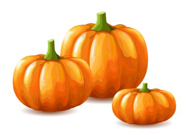 Bunch of pumpkins on white background clipart