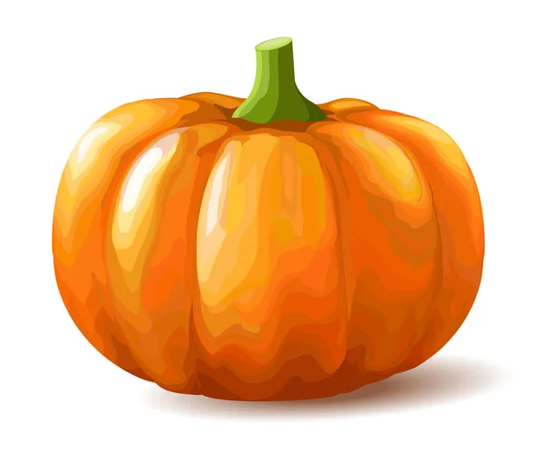 Calabaza sobre fondo blanco — Vector de stock