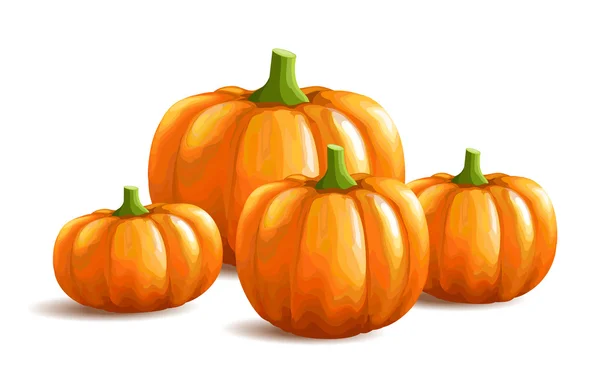 Manojo de calabazas sobre fondo blanco — Vector de stock