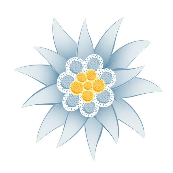 ᐈ Vector Stella Alpina Vettore Di Stock Immagini Edelweiss Scarica Su Depositphotos