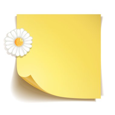 papatya çiçeği beyaz zemin üzerine sarı sopa not kağıdına