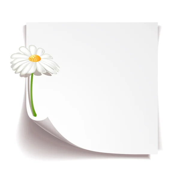 Papel de nota branca com flor de camomila no fundo branco — Vetor de Stock