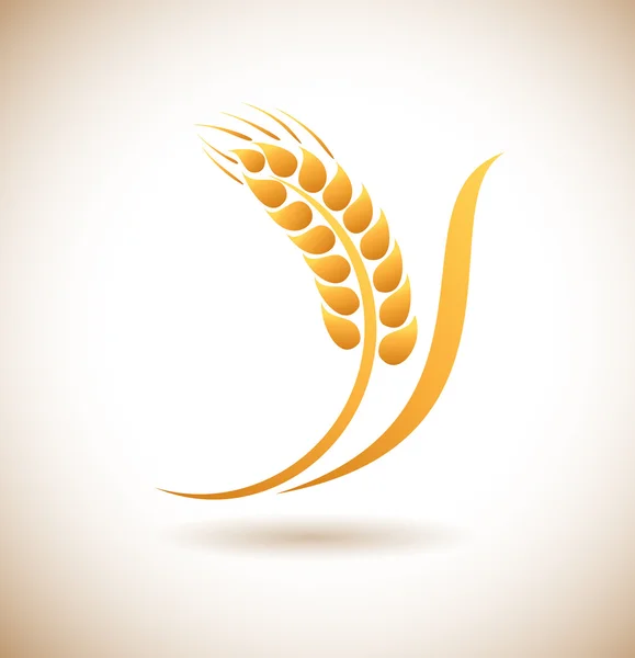 Buğday kulağı simgesi — Stok Vektör