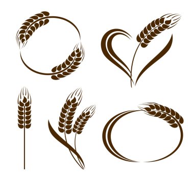 Set of abstract wheat ears icons clipart