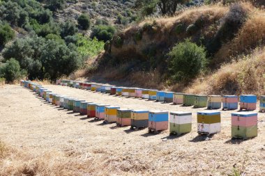 Multicoloured bee hives alignment in mountains clipart
